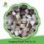 health delicious organic frozen market prices for frozen oyster mushroom have a hot sale in carton