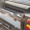 MSTP-500 Large Capacity Potato Polishing Polisher Machine