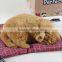 synthetic fur decorative realistic furry dogs figurine