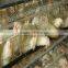 design layer chicken cages for kenya poultry farm