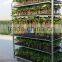 126 Nursery flower cart, Seedling Danish Mesh Trolley,Plant Carriers Dutch Flower Trolley Cart CC