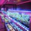 China Manufacturer Suppied Full spectrum LED Grow Light MarsHydro LED Lights Grow Bar