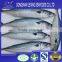 frozen pacific mackerel fish prices