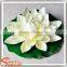 2017 new type Artificial lotus flower real touch decorative artificial lotus flower for sale