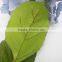 artificial silk white hydrangea wholesale price low moq wedding decor