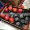 Plastic Colorful Food Tray with SGS Certificate