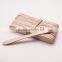 Hywoodstick Mini Wooden Ice Cream Spoon
