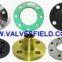Steel Flanges