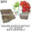 Gecko molded pulp, craft paper