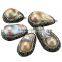 Wholesale jewelry natural abalone shell pendant