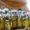 Swaali Aso Ebi Party Dress