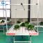 With tray ebb and flow rolling bench for growing greenhouse plant