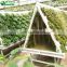 Low Price Agricultural Greenhouse Wall Hydroponic Growing Systems