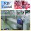 iqf quick freezing tunnel frozen strawberry machinery