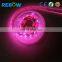 Colorful Indoor/outdoor decoration led light led lighting 5050 rgb led strip flex 60leds/m factory price