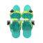 Mini Short Ski Skates snow Skis Winter Shoes freeride Short Snowskates Snowblades Skiboards