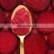 Factory supply competitive in quality and price beetroot powder with free samples