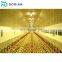 used steel frame chicken shed poultry farming house design