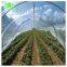 Non-woven greenhouse film agricultural plastic greenhouse shed film with Anti-UV, anti-fog, anti-aging and anti-drip
