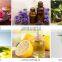 Industrial 100L - 500L essential oil distiller distillation equipment extractor extraction machine for flower plant leaves