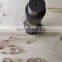 XCMG 860166024 Large and small swing teeth Wheel Loader Drive Axle Parts  for DL560 LW1200K