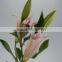 Excellent quality sorbonne lilies flowers with leaves