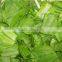Top-quality Used Food Processing Hob Type Vegetable Cutter