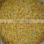 Frozen Sweet and Frozen Sweet Corn Cobs