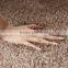 Floor tile rugs microfiber plush carpet