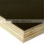 Factory Price High Quality Black Waterproof Film Face Plywood