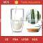 Borosilicate glass double wall cappuccino thermos cup