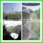 Factory direct supply HDPE hail prevention net /anti-bird net for fruit protection