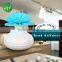 Ceramic bottle AP130ml Aroma flower Reed diffuser