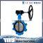 Worm Gear Butterfly Valve