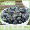 Salt Roasted Type Of Black Bean / Black Bean Snacks Manufacturer