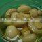 China Canned mushrooms/canned champignon/canned shiitake mushroom