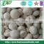 2015 new corp High Quality Frozen champignon mushroom Grade A BRC Haccp ISO