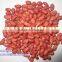wholesale big size blanched peanut kernels(ground nut seeds)