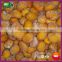 2015 New Crop Organic Roasted Peeled Quick Frozen Chestnut
