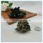 Cheap Dried Black Agaric China Wholesale