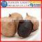 Chinese Organic Single Bulb Black Garlic