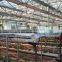 Strawberry plastic film greenhouse