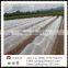 Frost prevention, anti-freezing agriculture with non-woven fabric, the small volume of non-woven fabrics