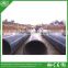 PE100 water pipe with price
