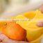 CY146 Orange Peelers Zesters Opener practical Lemon Fruit Slicer Bird Shape Fruit Stripper Opener