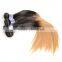 Real Shooting Peruvian Hair Weaves Pictures,1B 27 Ombre Color Peruvian Ombre Bundles Hair Weaves