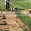 Grass cutting machine, artificial turf tools and sod cutter machine