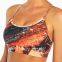 Ladies' santoni seamless knit sports bra .