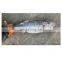 Indonesia frozen skipjack tuna price