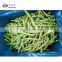 Sinocharm ISO Certified Crisp Tasty Nutritious IQF Frozen Green Beans